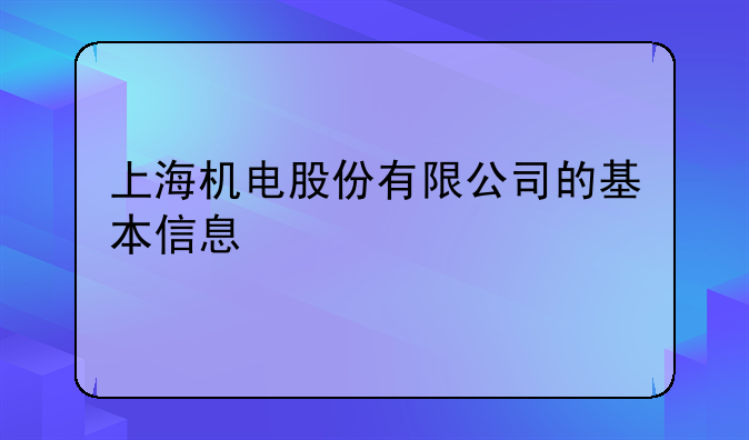 上海机电股份有限公司的基本信息